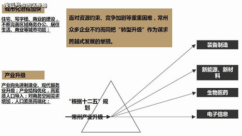 常州恒生科技園項(xiàng)目市場營銷策劃報(bào)告